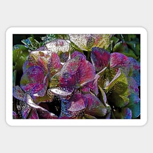 Colorful Hydrangea Ornament Sticker